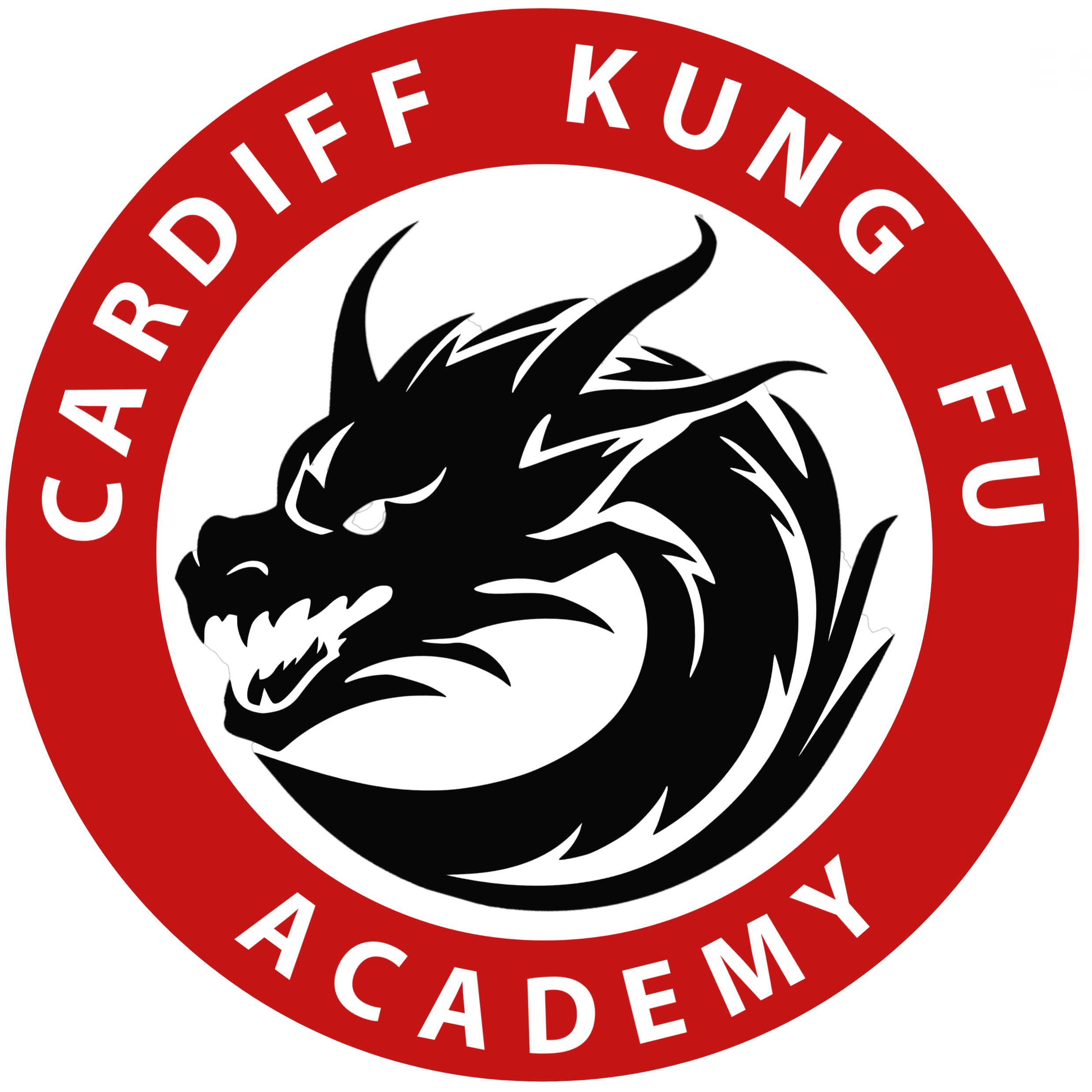 Cardiff Kung Fu Academy